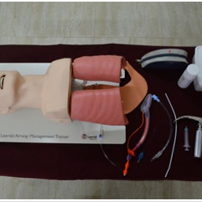 AIRWAY MANAGEMENT TRAINER ADULT