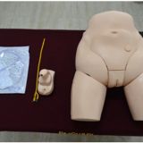 INTER CHANGEABLE CATHETERIZATION AND ENEMA TRAINER